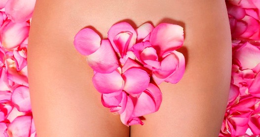 Bikini Wax El Cajon Bikini Sugar Waxing Specialist New Client